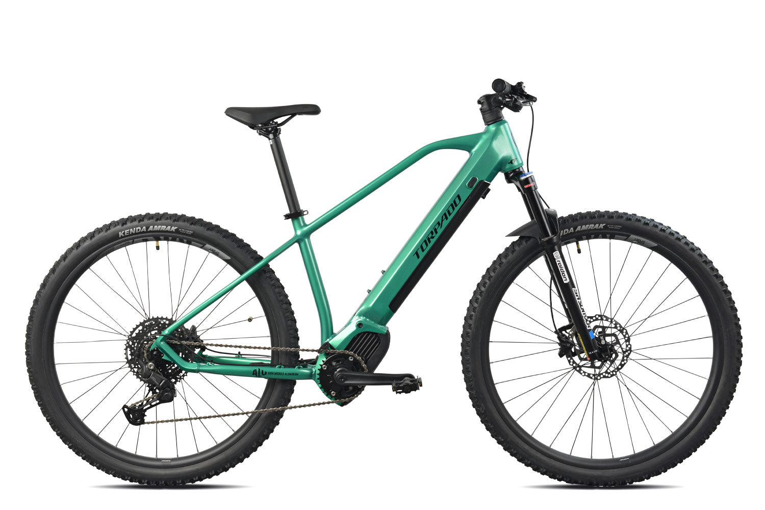 Bici ed e-bike Torpado