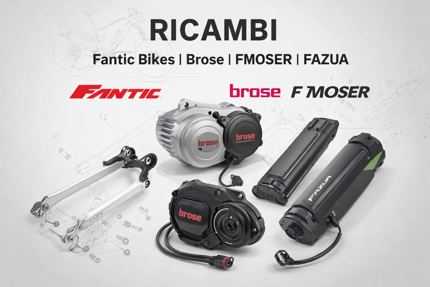 Ricambi Fantic Bikes - Brose FMoser - Fazua