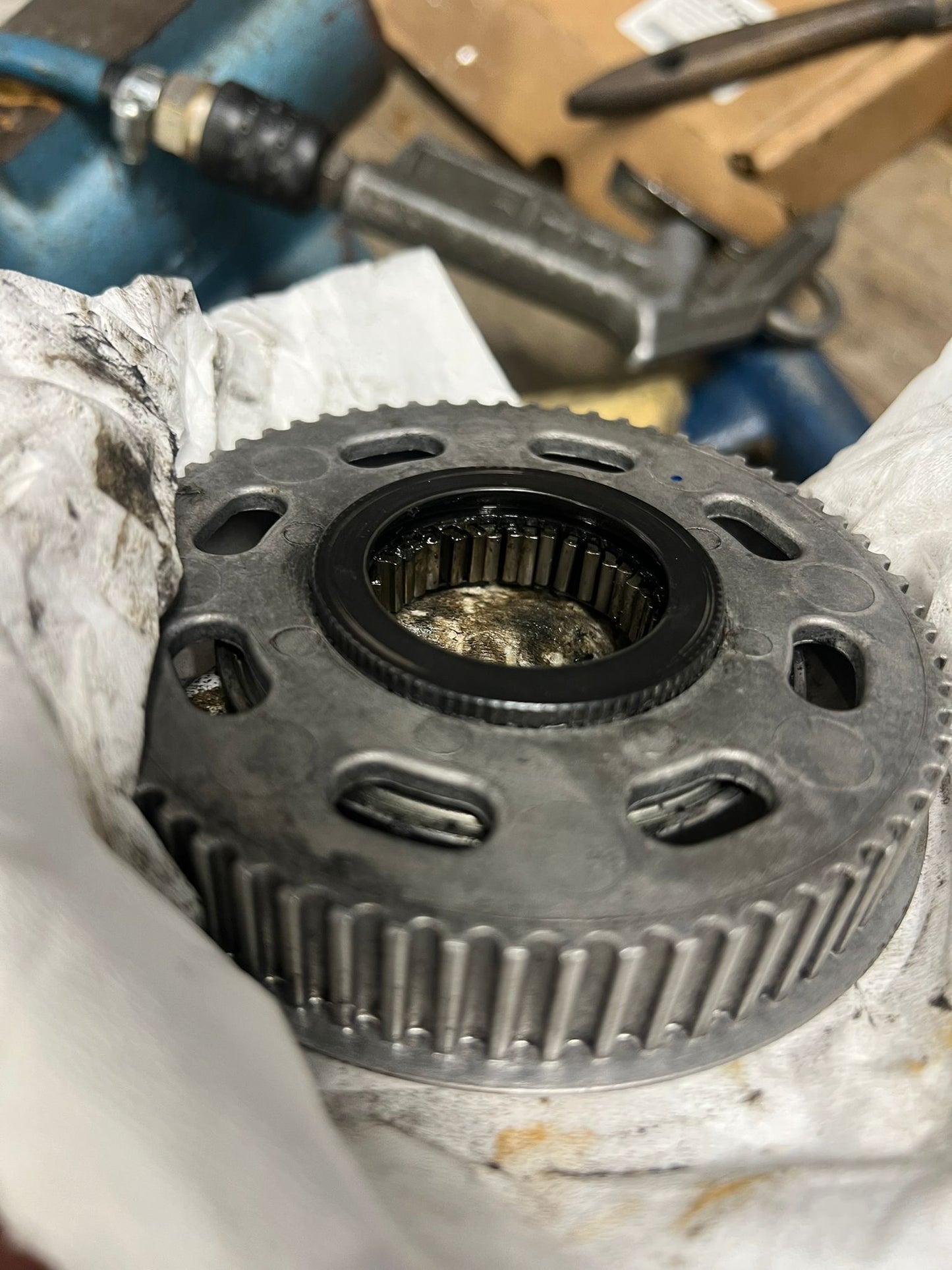 Sostituzione cinghia e revisione motori Brose S MAG