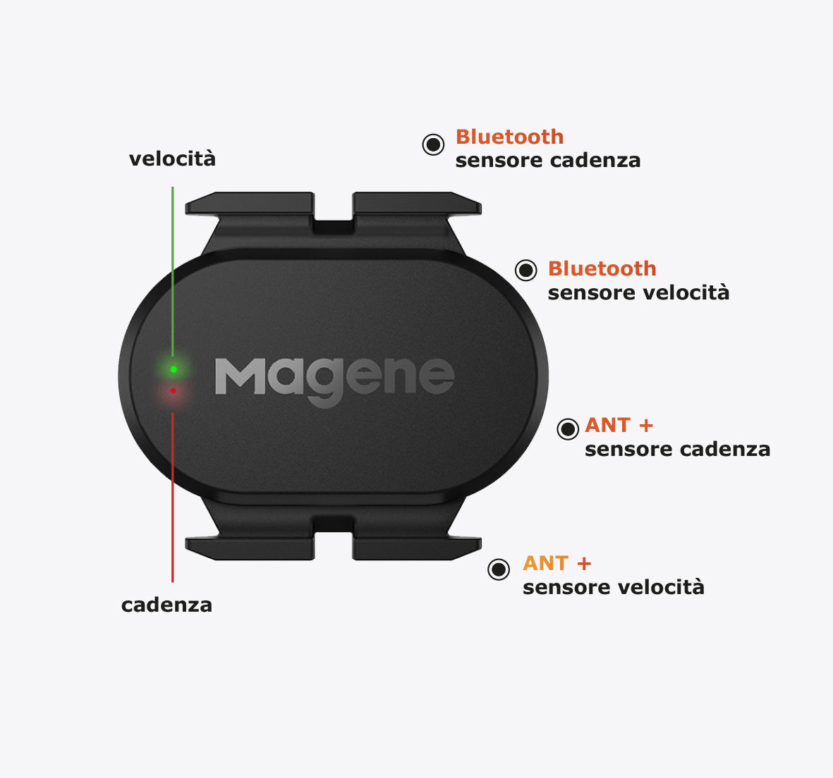 Sensore cadenza/velocità Magene S314