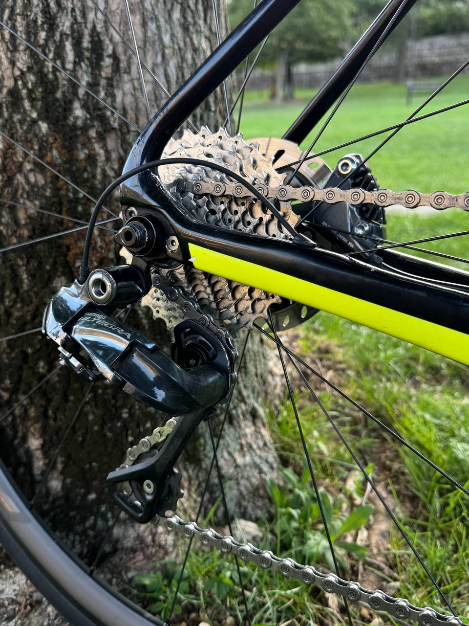 Bici da corsa Grandis Diamond Full Carbon Tg 53 Shimano Ultegra Di2 – Usata