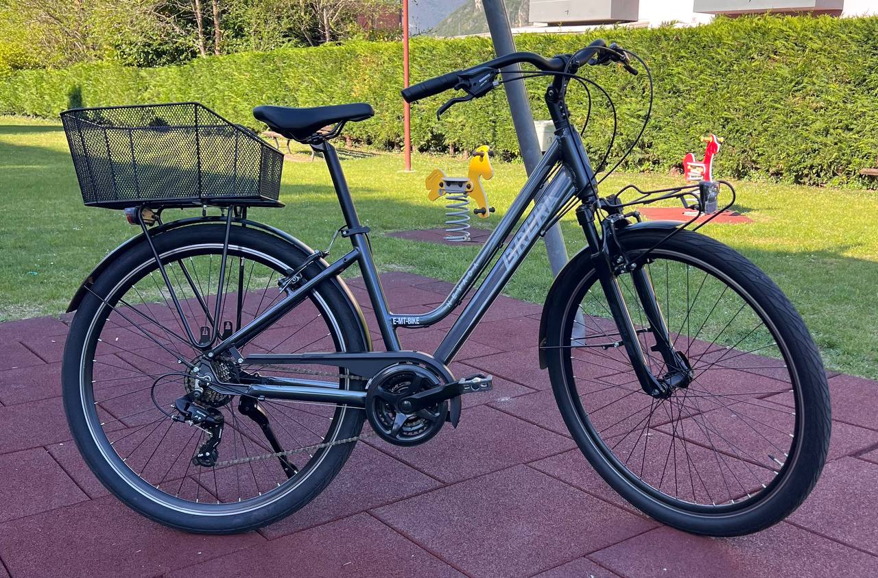 City bike Brera Nevada telaio alluminio 21V taglia S