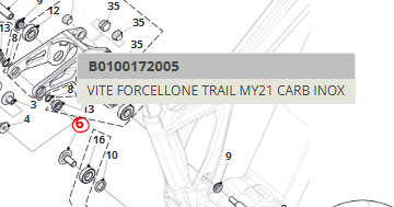 Vite Forcellone per Fantic XTF 1.5 Carbon MY21  Inox