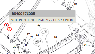 Vite puntone per Fantic XTF 1.5 Carbon MY21 inox