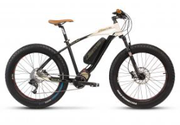 Fantic Caricabatterie BMZ 42V 4A per e-bike Fantic