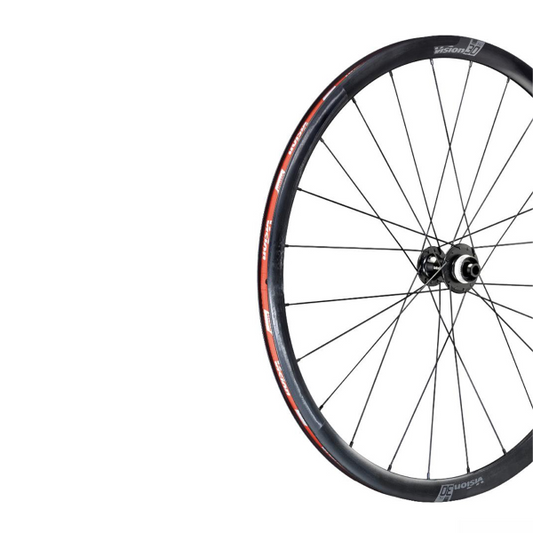 Ruota posteriore per e-bike Fantic FMOSER Vision TEAM 30 disc corpetto XD
