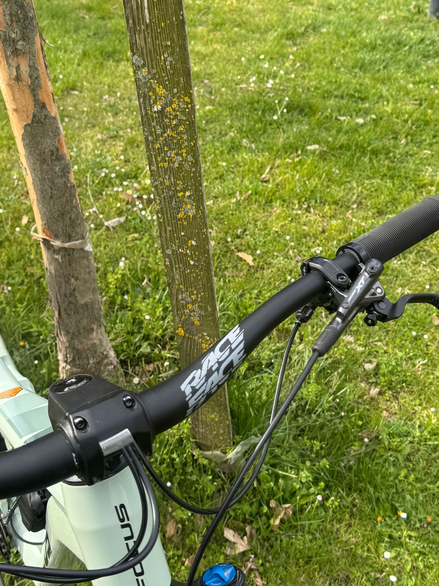 Focus Jam taglia L Shimano XT 12V FOX usato