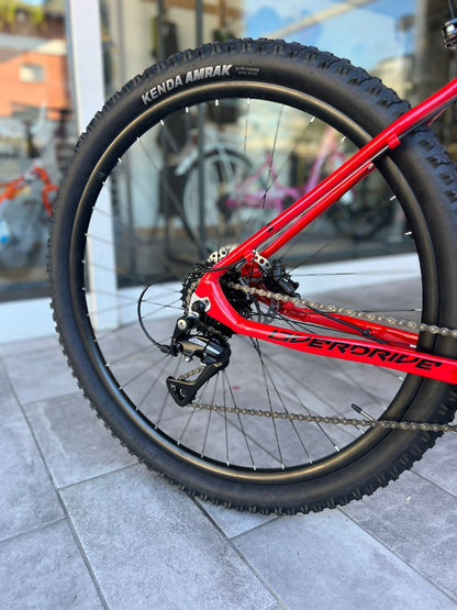 MTB Brera Overdrive 29" 24V taglia 43 (altezza 165-177cm) alluminio disco